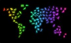 Wyniki Wojewódzkiego Konkursu Przedmiotowego z Biologii