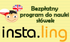 INSTA.LING – PODSUMOWANIE SEMESTRU ZIMOWEGO