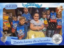 ZSP   Heaven Wins Zbiórka charytatywna na rzecz schroniska