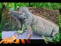 ZSP   klasy II w Egzotarium