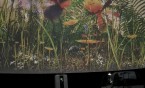 Mobilne planetarium w SP16