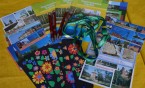 Crazy Bookworms, czyli Mole Książkowe z Szóstki