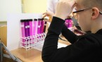 Uczniowie SP 11 brali udział w projekcie "Kolorowo znaczy zdrowo" Śląskiego Uniwersytetu Medycznego