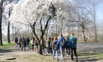 Śladami Antoniego Halora.
