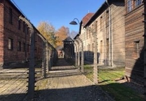 Niezapomniana lekcja historii w SP 16