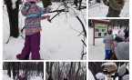 Co się dzieje w lesie? 3b