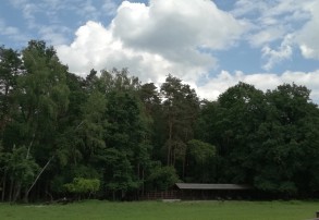 rezerwat żubrów