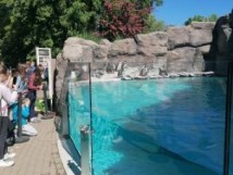 4b w Zoo
