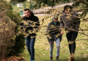 Ekolodzy z Matei w Parku Śląskim