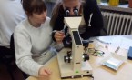 Klasa VIII a Szkoły Podstawowej nr 4 na warsztatach biologicznych w Pałacu Młodzieży