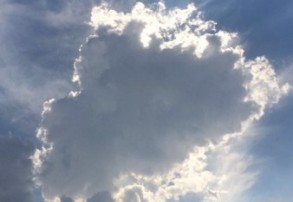 Wyniki konkursu fotograficznego „Jaki piękny świat!” w ramach VII Festiwalu Meritum Wizji.