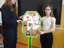 Projekt „Latawce”.