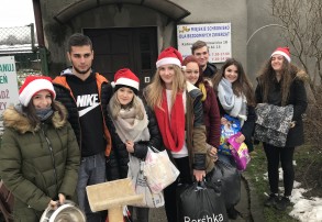 Mikołajki z Cogito w schronisku dla bezdomnych zwierząt
