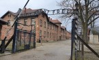 Meritum „Przeciw mowie nienawiści”