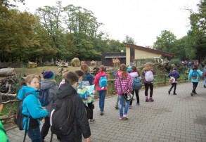 Uczniowie SP 13 zwiedzają Wrocław