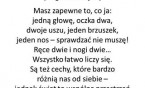 Biedronki i Żabki - propozycje różnorodnej aktywności dzieci - 25.05-29.05.2020