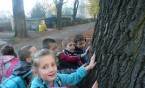 W POSZUKIWANIU JESIENI