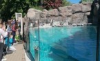 4b w Zoo