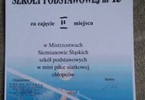 Trzynastka wywalczyła srebrny medal w minipiłce siatkowej chłopców