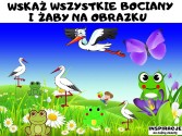 wskaż wszystkie żaby i bociany