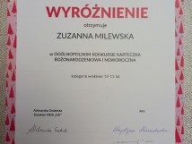 Sukces plastyczny