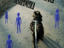Rodzinny spacer dla schroniska
