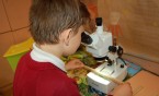 SP13: Jakie informacje możemy odczytać z drzew?
