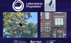 Sztuka latania