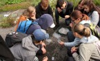Mateja i Uniwersytet Śląski działają terenowo