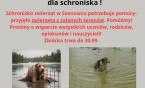Uwaga! Chcesz pomóc?