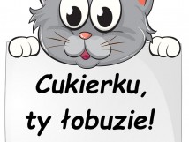 PROMOCJA CZYTELNICTWA W KLASACH I-III METODĄ BOSTOŃSKĄ.