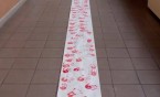 RED HAND DAY w ZSI