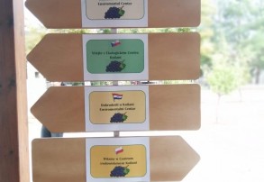 Uczniowie SP 1 na Cyprze - Projekt THE GREEN HEARTS - półmetek