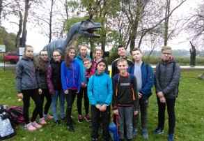 Sztafetowe biegi przełajowe SP13