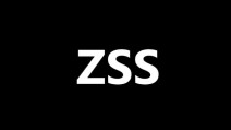 ZSS manequin challenge