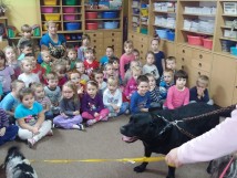 Zajęcia edukacyjne z psami w P18