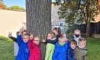 Dzień drzewa w klasie 2a