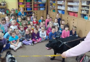 Zajęcia edukacyjne z psami w P18