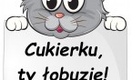 PROMOCJA CZYTELNICTWA W KLASACH I-III METODĄ BOSTOŃSKĄ.