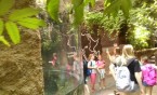 Klasy czwarte we Wrocławskim ZOO