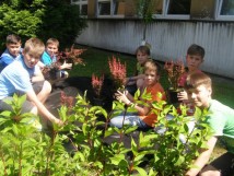 Współpraca z Fundacją Ekologiczną Silesia