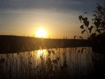 ŚWIETLNE ODBICIE - SP1 SIEMIANOWICE ŚLĄSKIE