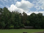 rezerwat żubrów