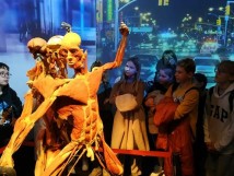6a - Body Worlds