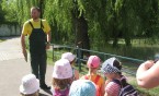 Wycieczka do ZOO dzieci z Przedszkola Nr 18
