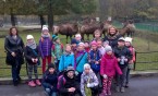 Podsumowanie akcji zbierania zabawek.