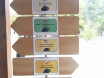 Uczniowie SP 1 na Cyprze - Projekt THE GREEN HEARTS - półmetek