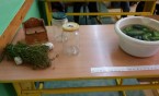 Kiszone ogóreczki