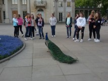 Warszawa- 9.05- 11.05