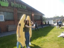 Cogito na pikniku w Biobazarze